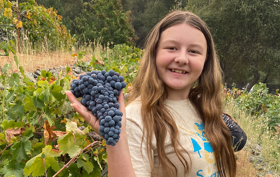 Photo of wine about to poured