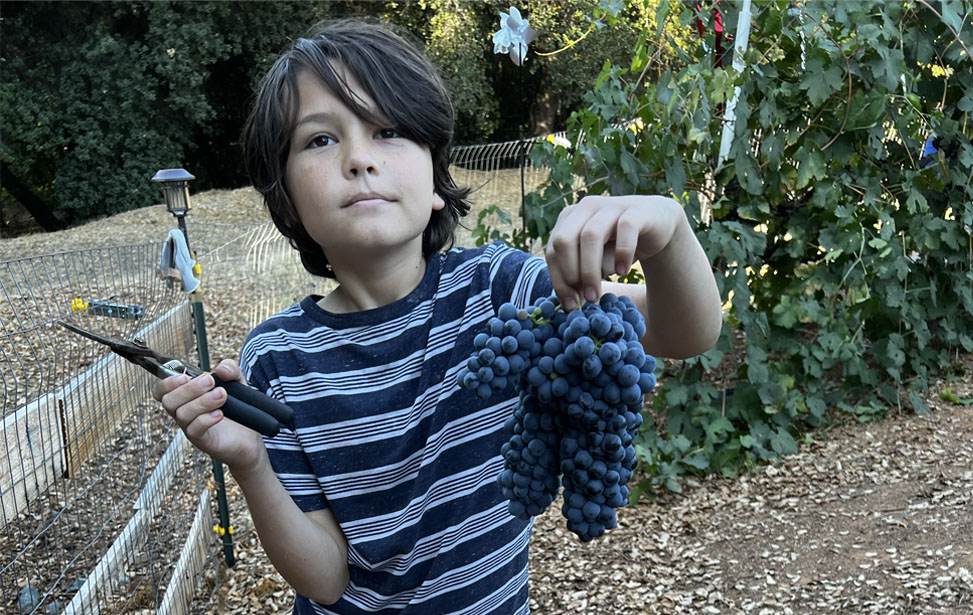 Photo of winemaker holding bottle